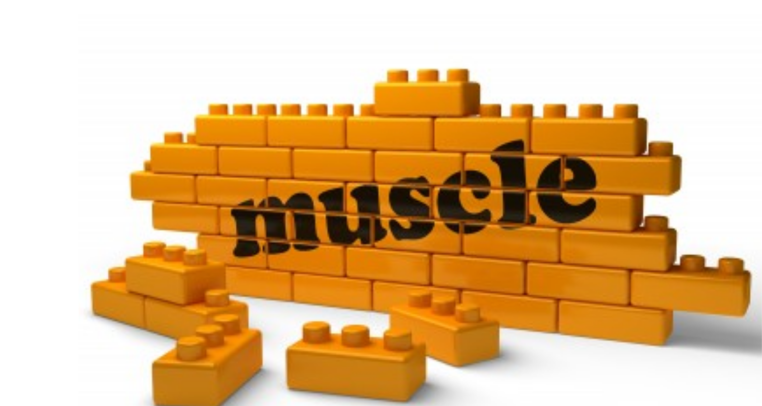3 Ways to Build Muscle and Avoid Injuries