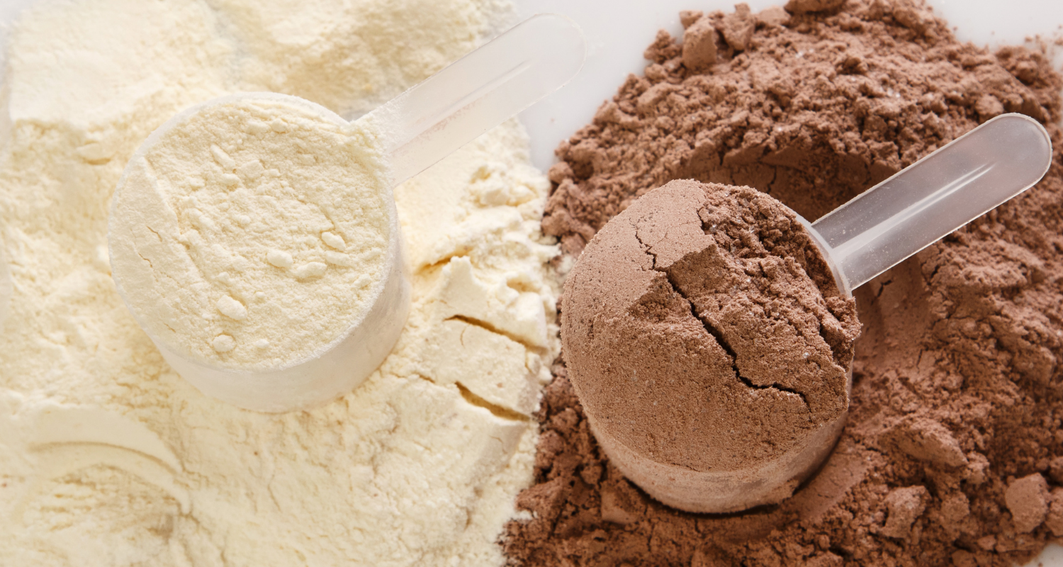 Whey Protein is Your Body Building Partner