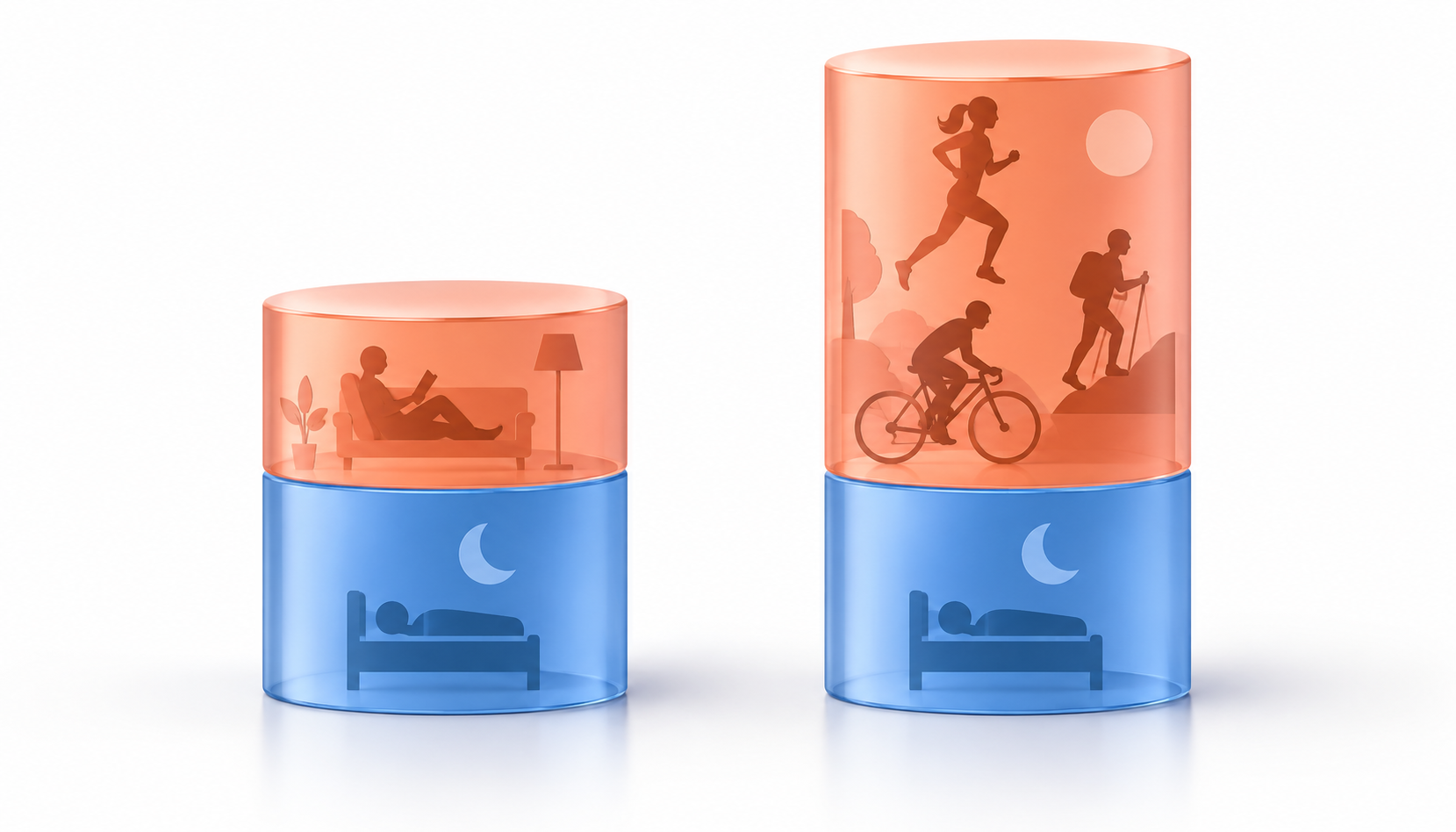 Conceptual illustration comparing lower and higher activity with a similar resting energy segment and a larger activity segment