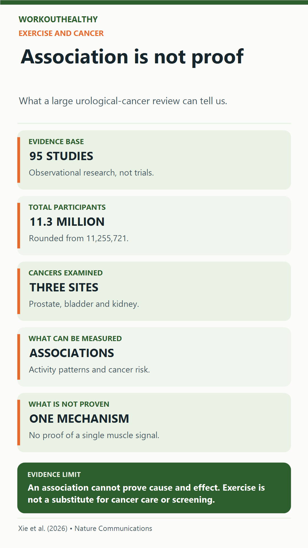 The 2026 physical activity and urological cancer review included 95 observational studies and about 11.3 million participants; it cannot prove causation or a specific muscle-signal mechanism.