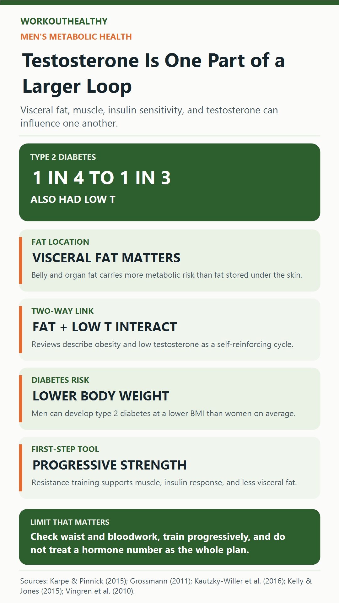 Infographic linking visceral fat, testosterone, insulin sensitivity, and resistance training with evidence limitations