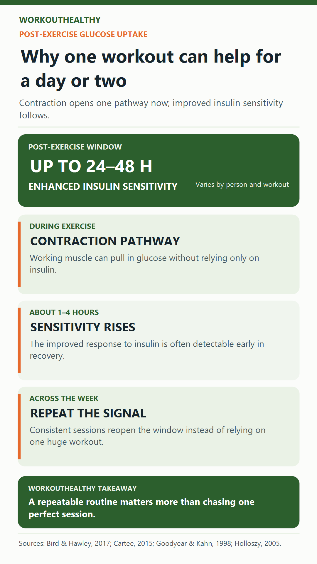 Timeline infographic showing contraction-mediated glucose uptake during exercise and improved insulin sensitivity for up to 24 to 48 hours