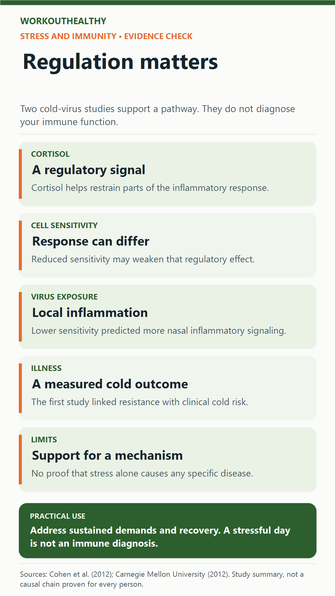 Study summary distinguishing cortisol regulation, reduced cell sensitivity, nasal inflammation, cold outcomes, and limits.