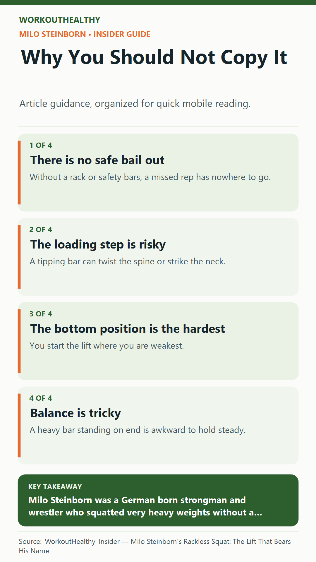 Why You Should Not Copy It: 4 practical points from the WorkoutHealthy Insider article about Milo Steinborn.