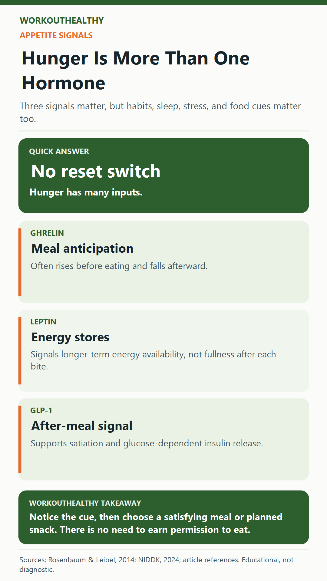 Infographic explaining ghrelin, leptin, and GLP-1 as three appetite signals and noting there is no simple hormone reset switch.