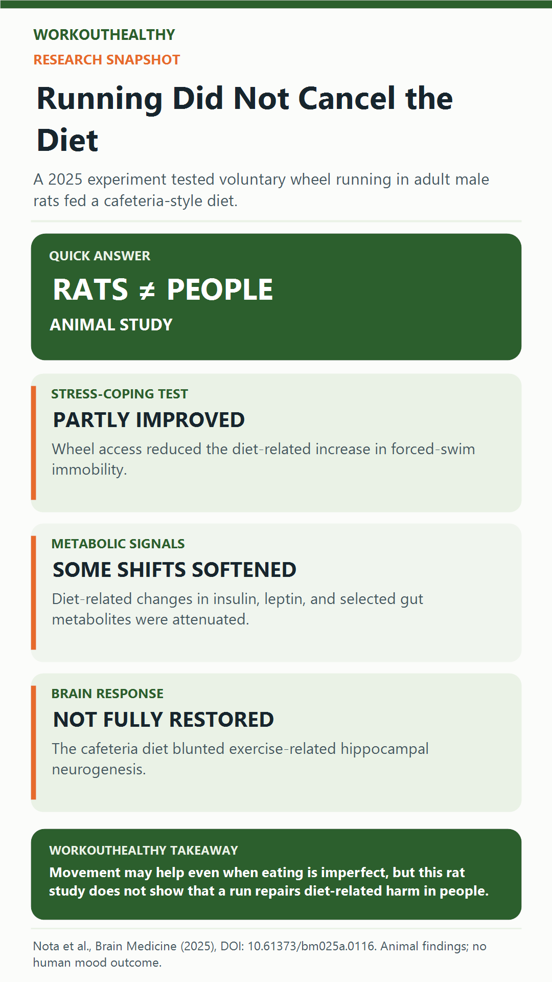 Research snapshot comparing the rat cafeteria-diet and wheel-running groups, measured outcomes, and limits of applying animal findings to people